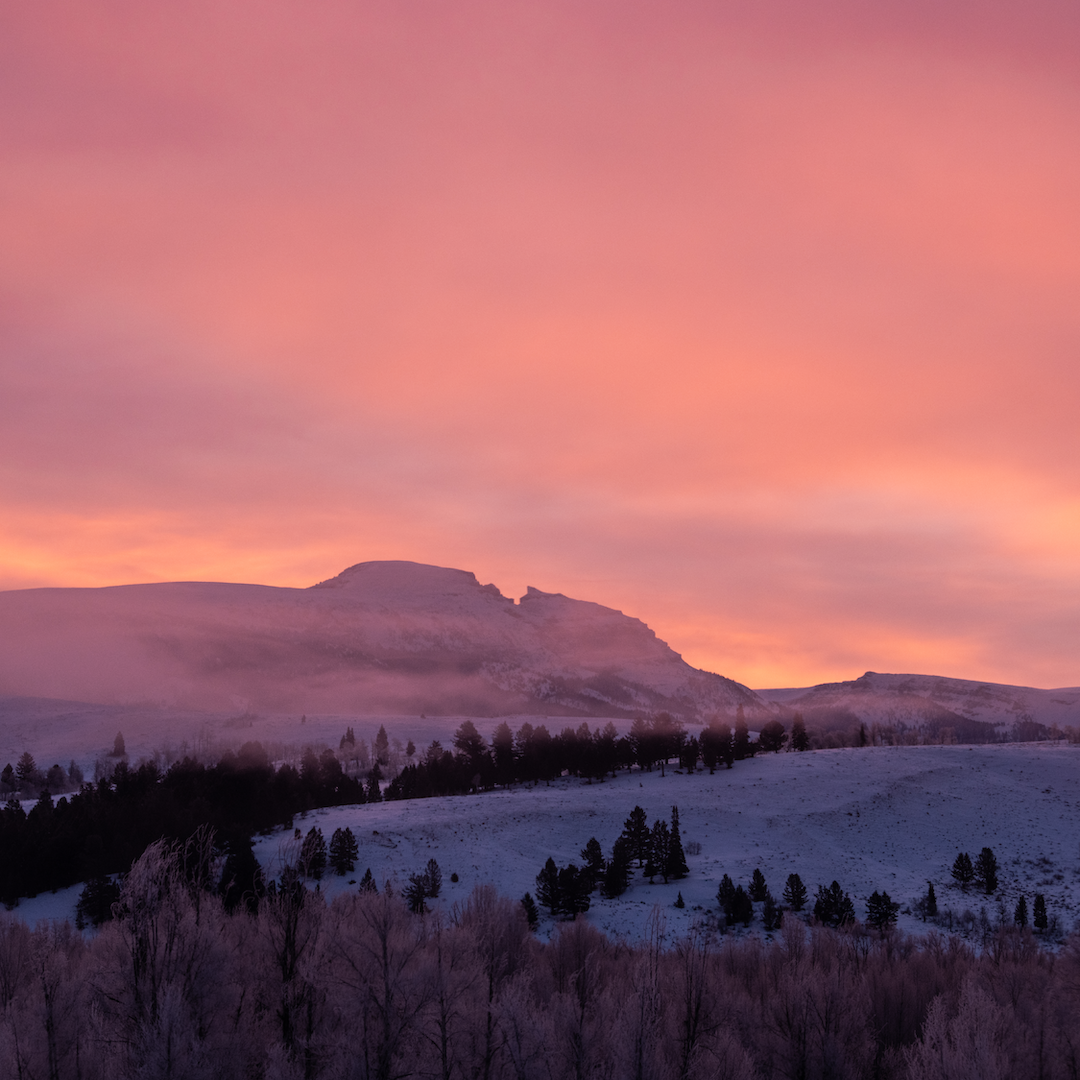 GROS VENTRE