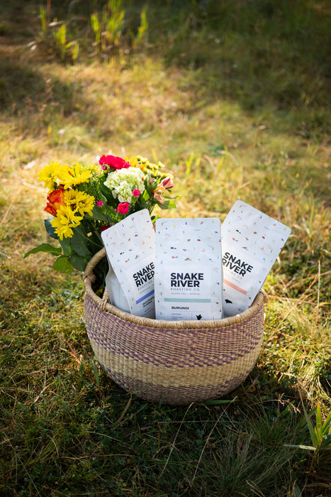 Single Origin Bundle