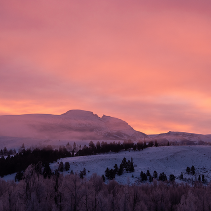 GROS VENTRE