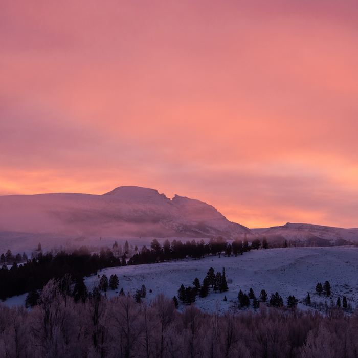 GROS VENTRE