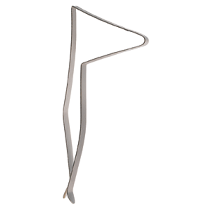 Thermometer Clip